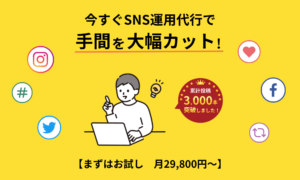 SNS運用代行